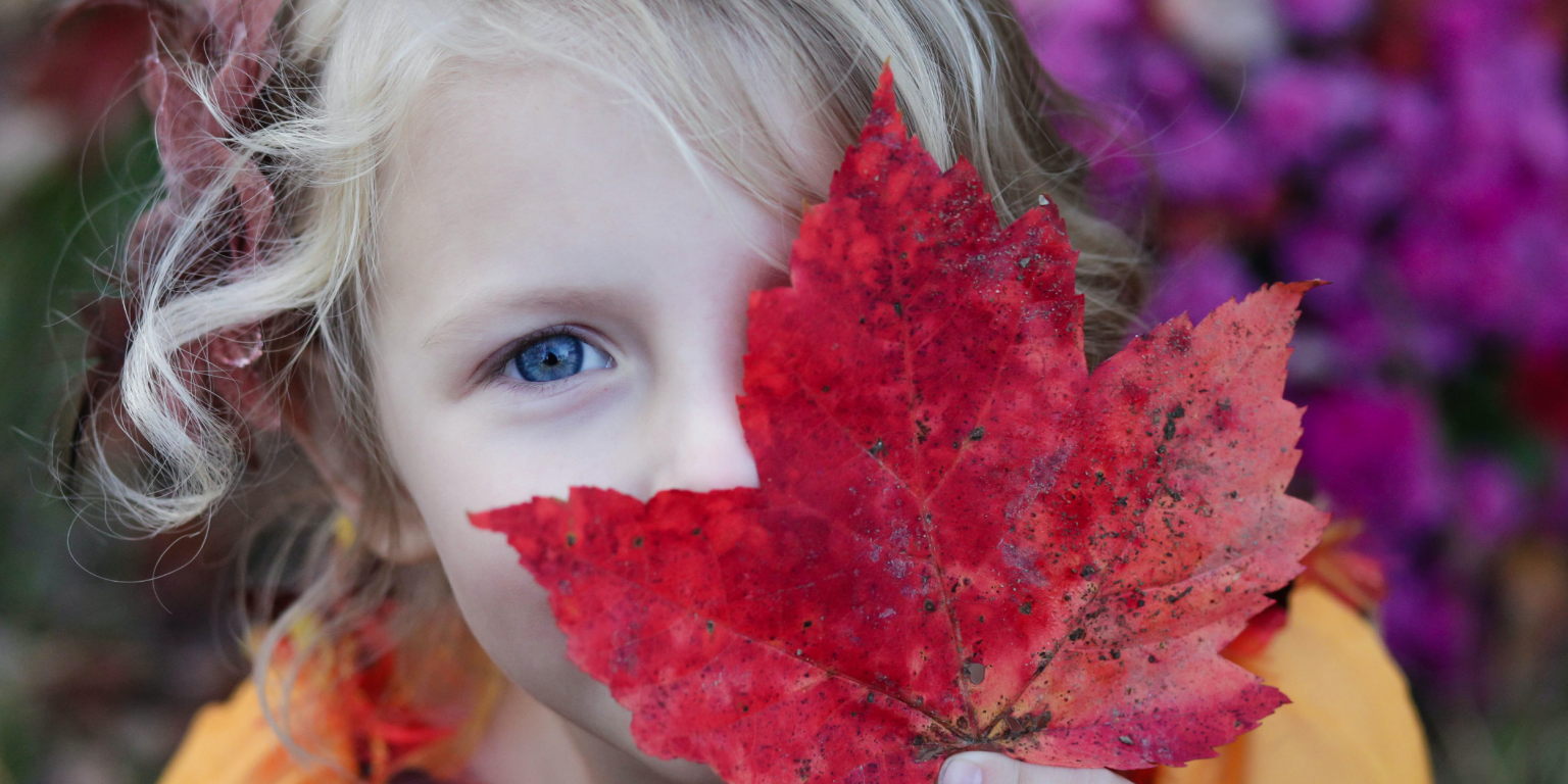 Footer -05 Privacy - Nuove Scuole Serristori