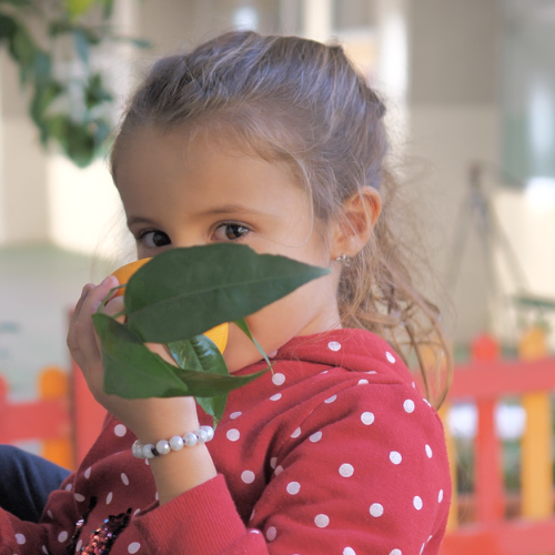 1 1 - Nuove Scuole Serristori